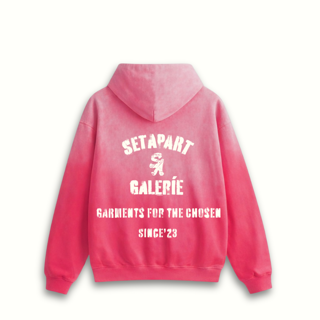 PINK SA GALERÍE OVERSIZED HOODIE